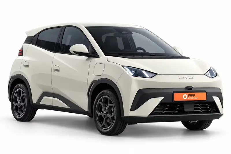BYD Dolphin Surf (0)