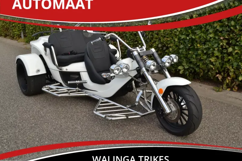 Rewaco RF1 ST-3 (2024)
