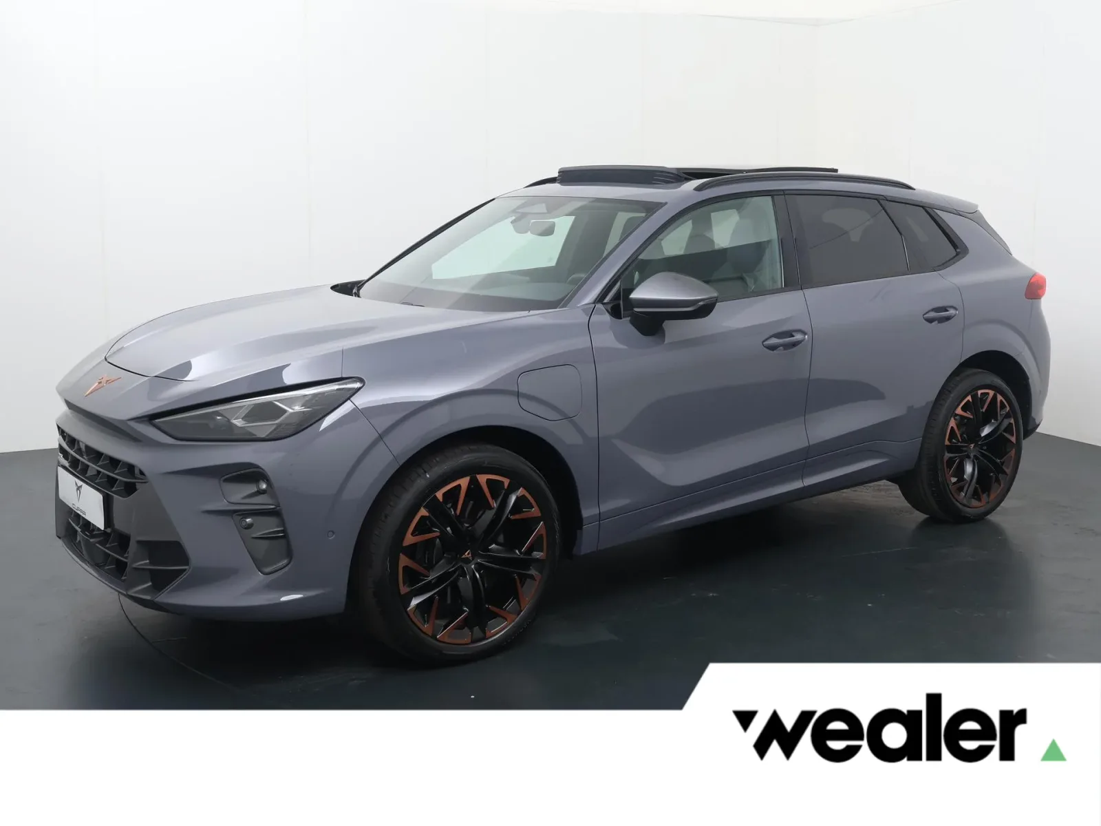 CUPRA Terramar (2025) — foto 1