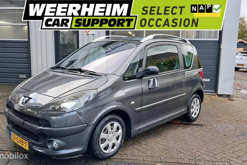 Peugeot 1007 (2008)