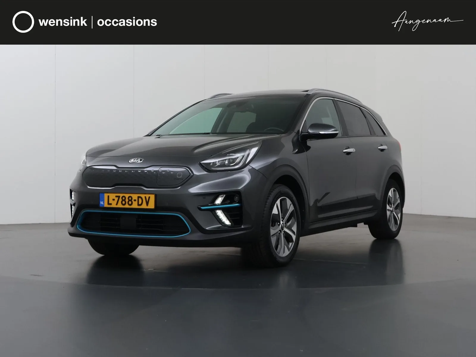 Kia Niro EV (2021) — foto 1