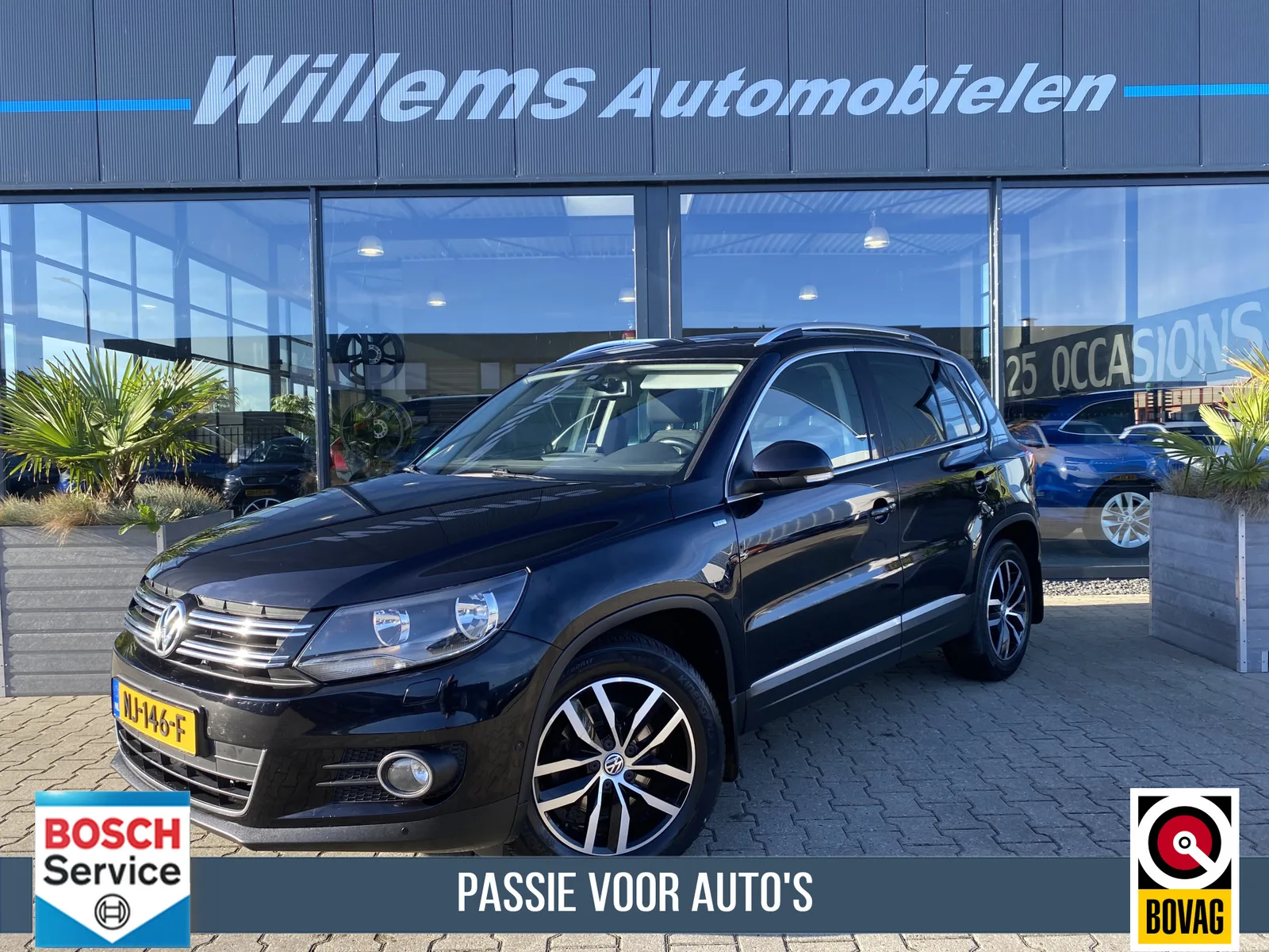 Volkswagen Tiguan (2014) — foto 1