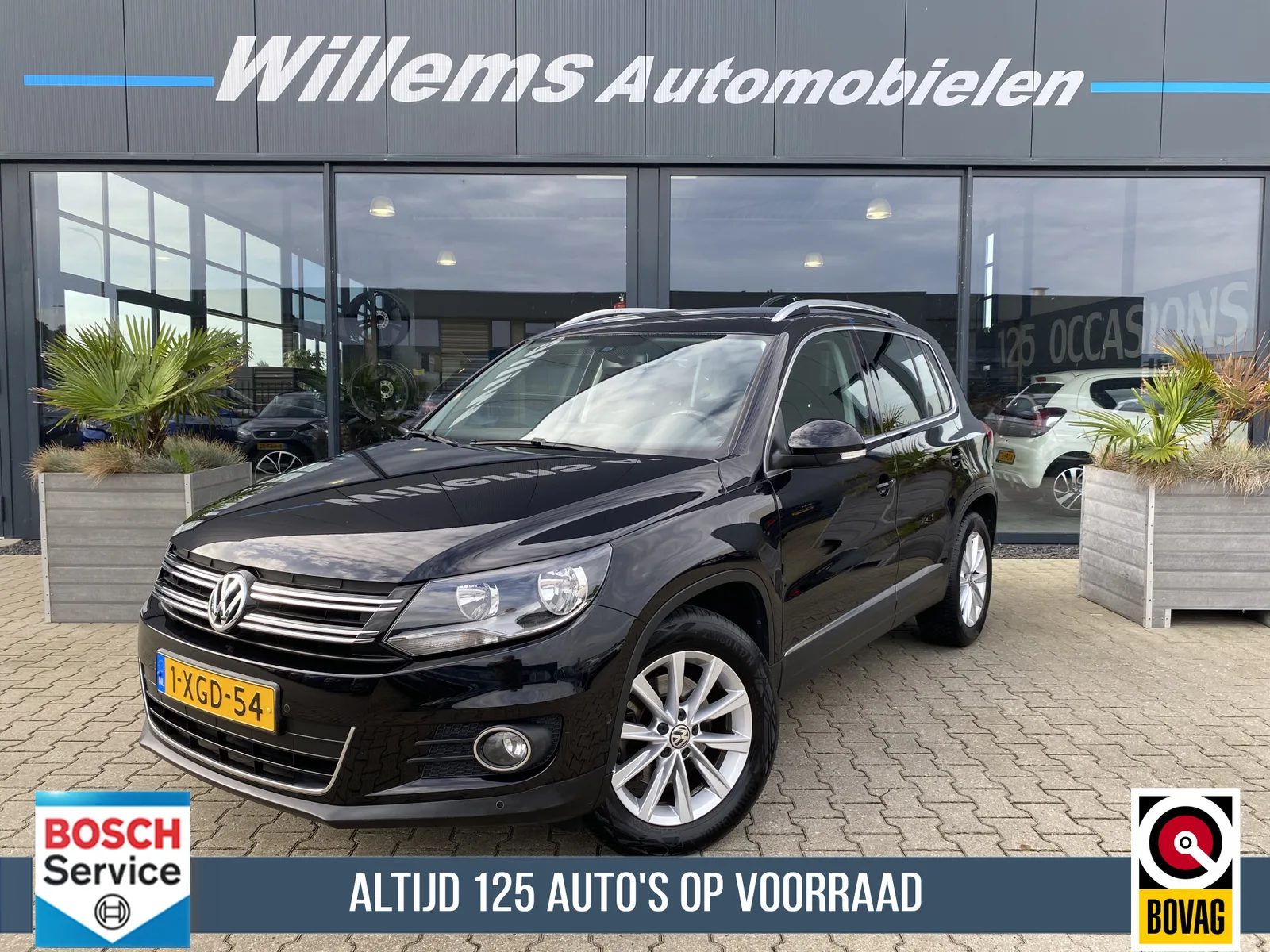 Volkswagen Tiguan (2014) — foto 1