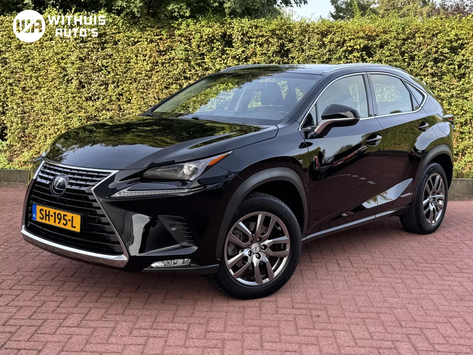 Lexus NX (2018) — foto 1