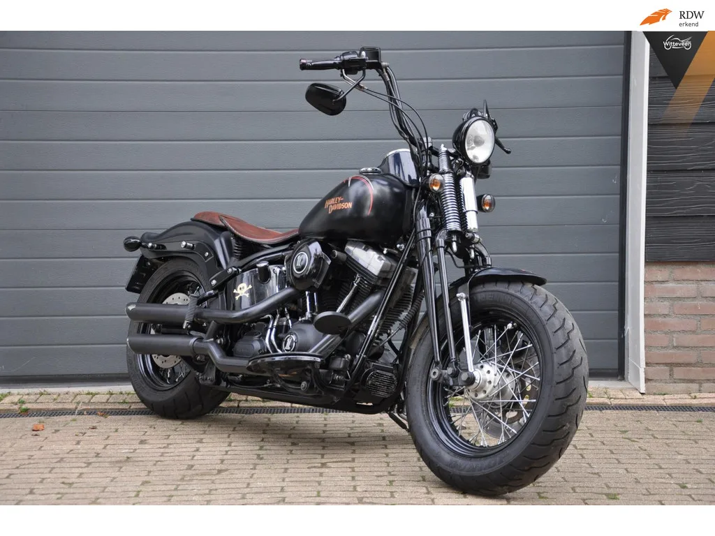 Harley-Davidson Cross Bones 5HD FLSTSB (2009) — foto 1