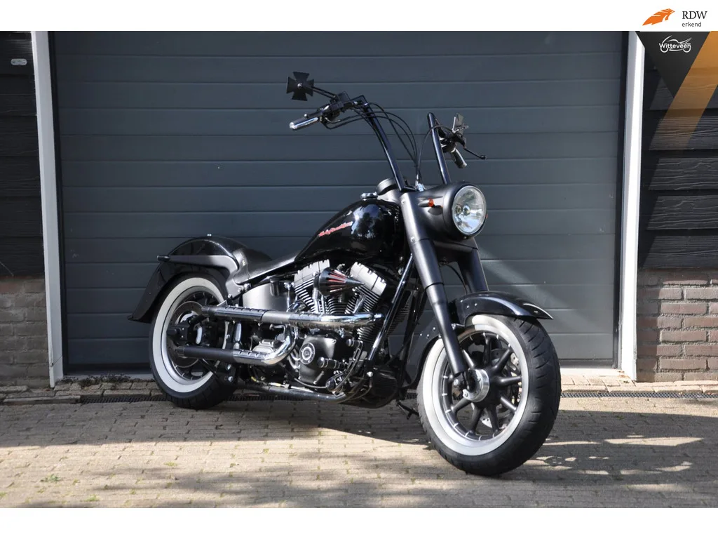 Harley-Davidson Heritage Softail Special (2004) — foto 1