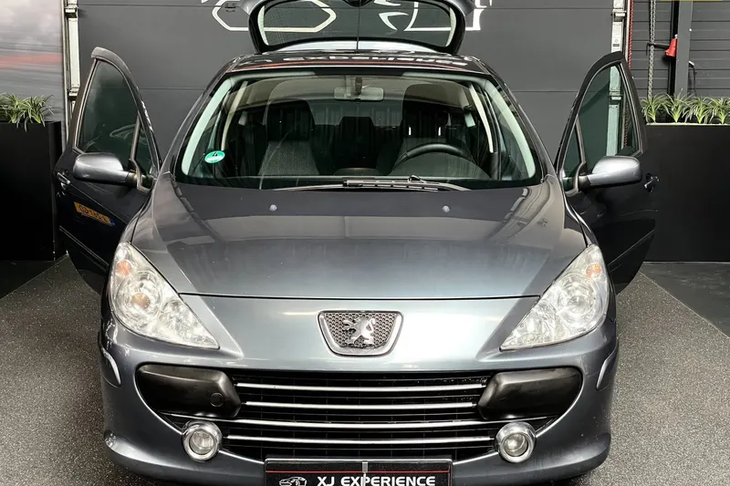 Peugeot 307 (2006)
