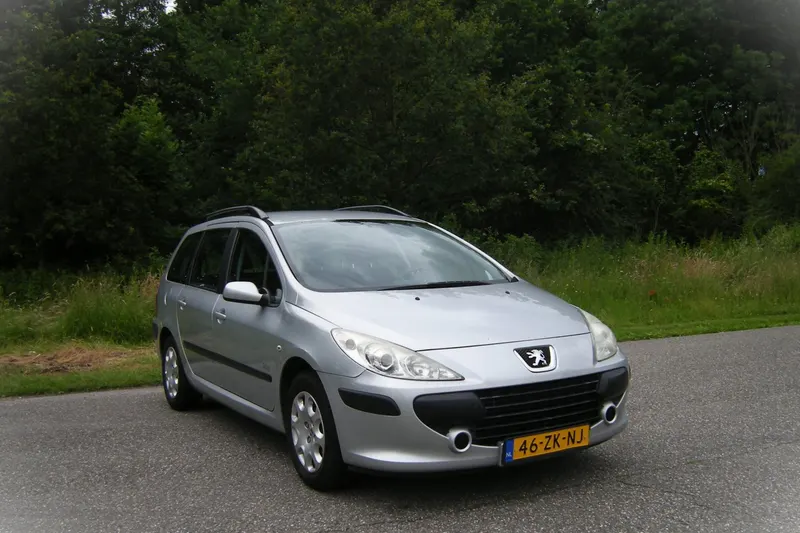 Peugeot 307 Break (2008)